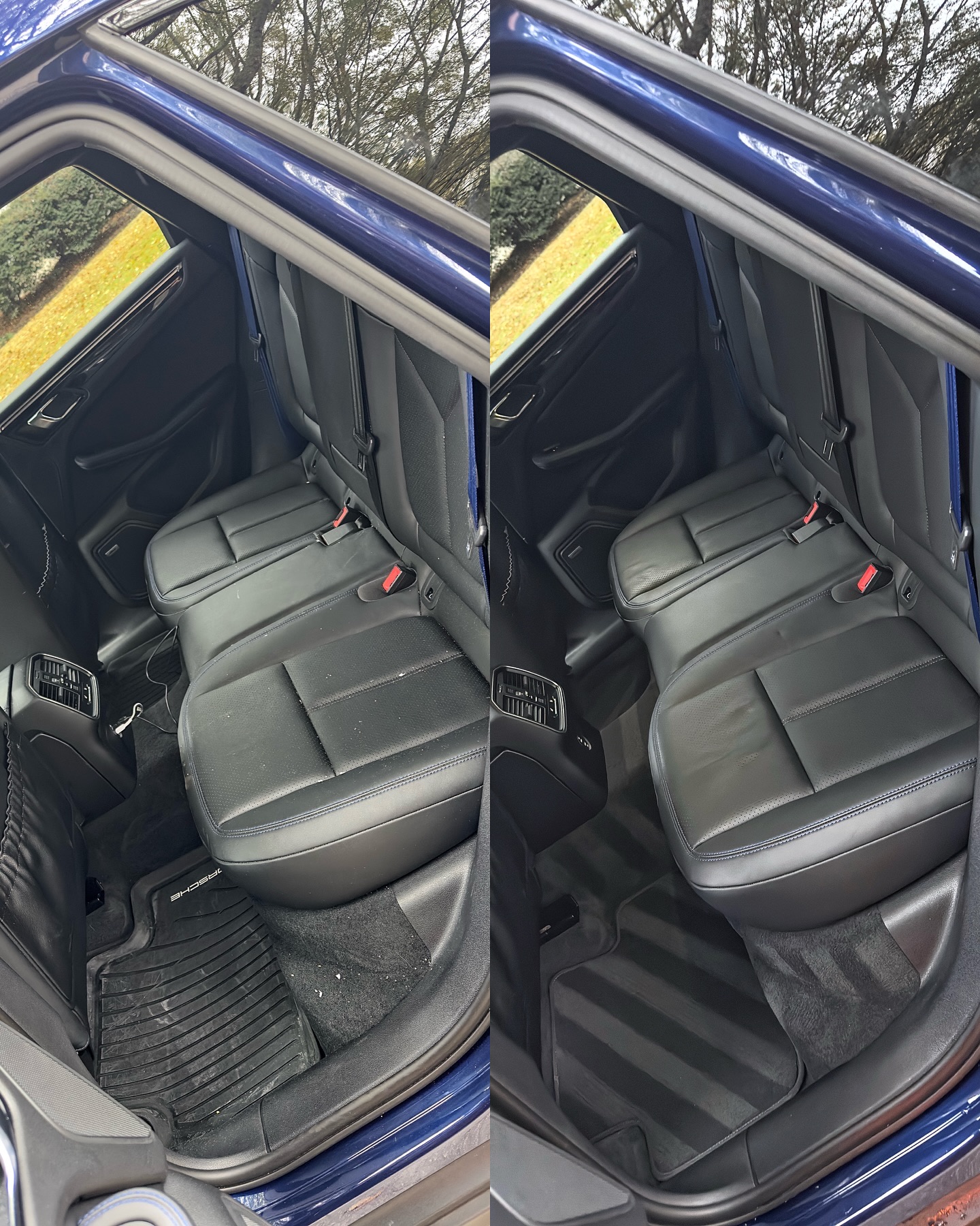 Pet Hair in Car Carpet: Why Vacuuming Falls Short