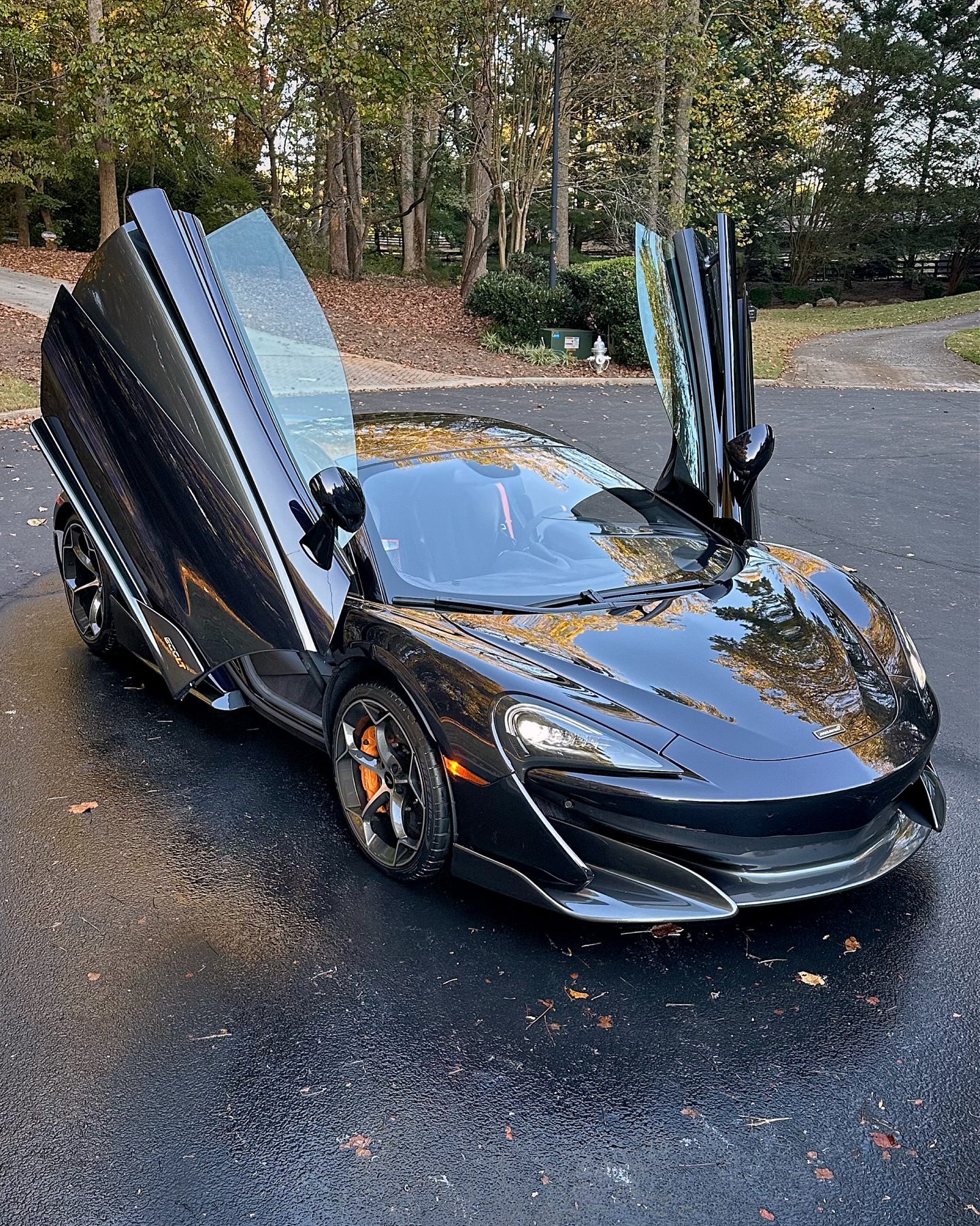 McLaren 600LT detailing Alpharetta, GA